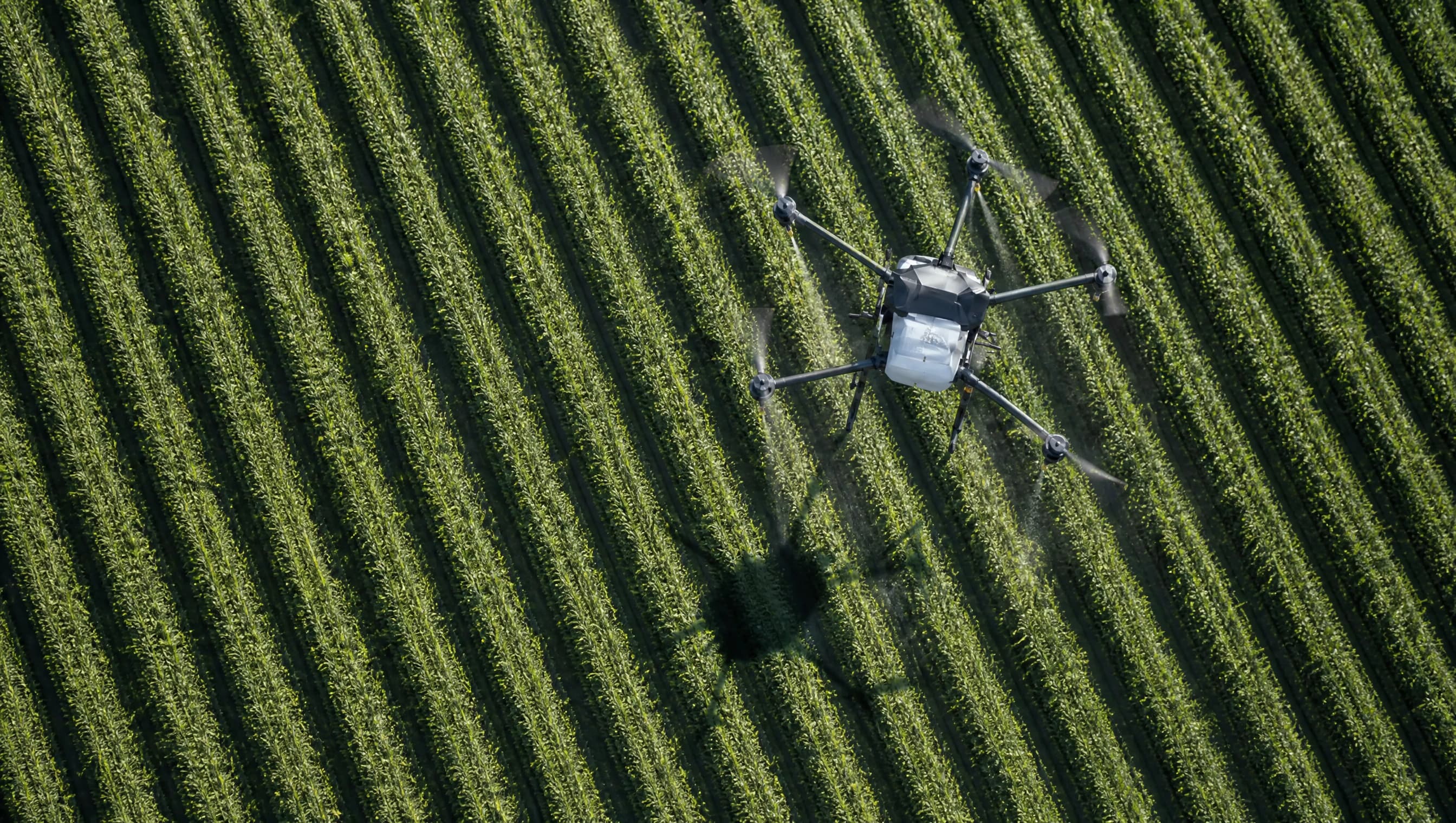 Drone-based crop detection and targeted treatment.